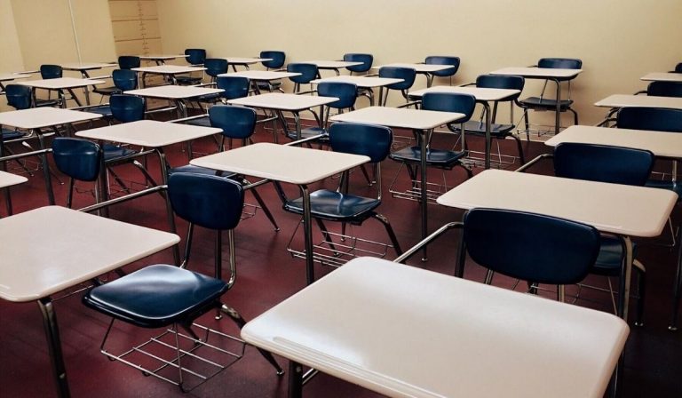 scuola docenti test