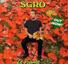 Sgrò le piante
