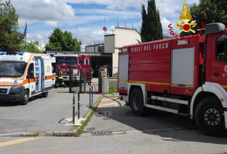 Trave su camion: morto Michele Murgia
