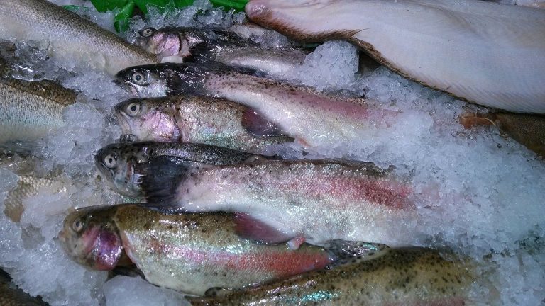 coronavirus sul pesce surgelato