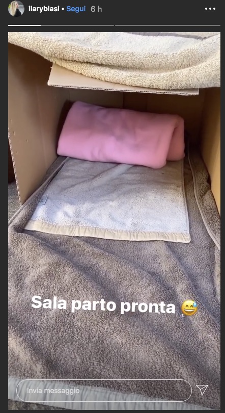 Ilary Blasi gatto