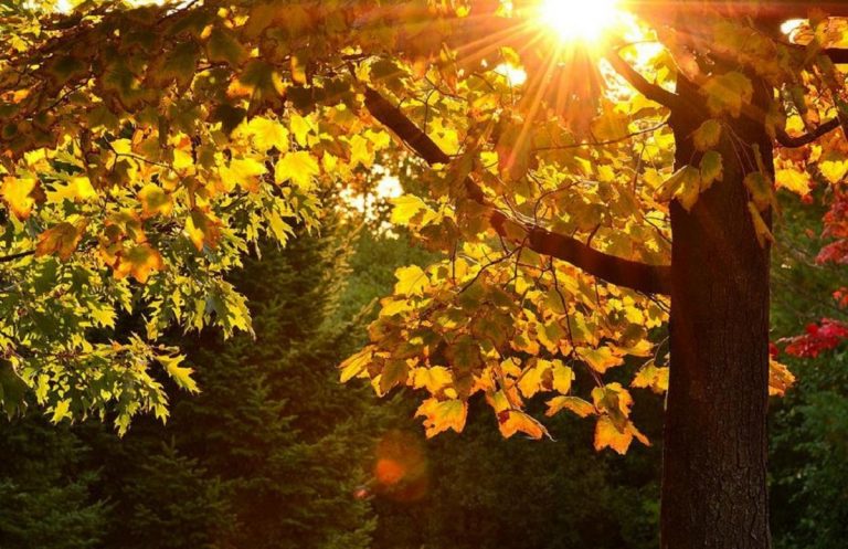 meteo 30 ottobre