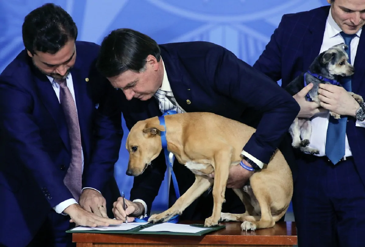 Brasile, se a firmare una legge è un cane
