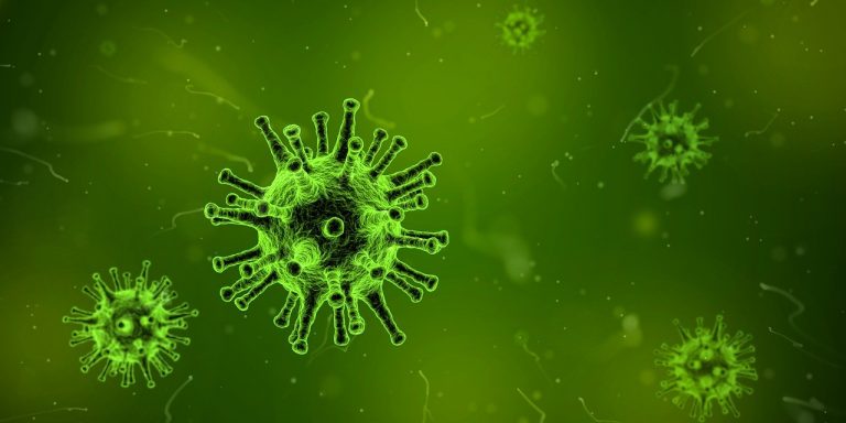 Anticorpi monoclonali, cosa sono e a che punto è la sperimentazione?