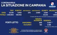 campania 22