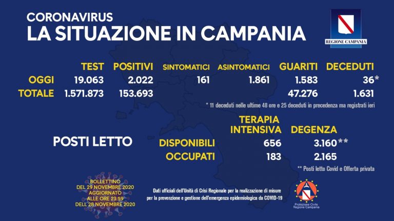 campania 23 768x432