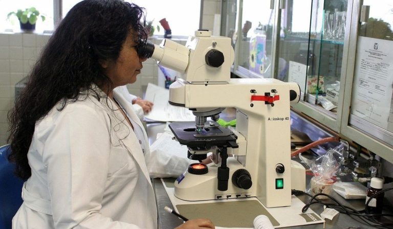 Covd Europa mortalità più alta