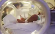 Covid neonata contagiata nell'utero