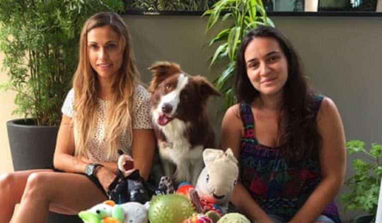 Genius Dog Challenge, talent a quattro zampe