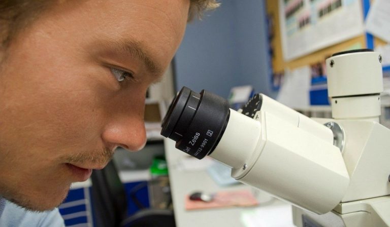 Iss coronavirus sensibile alla temperatura