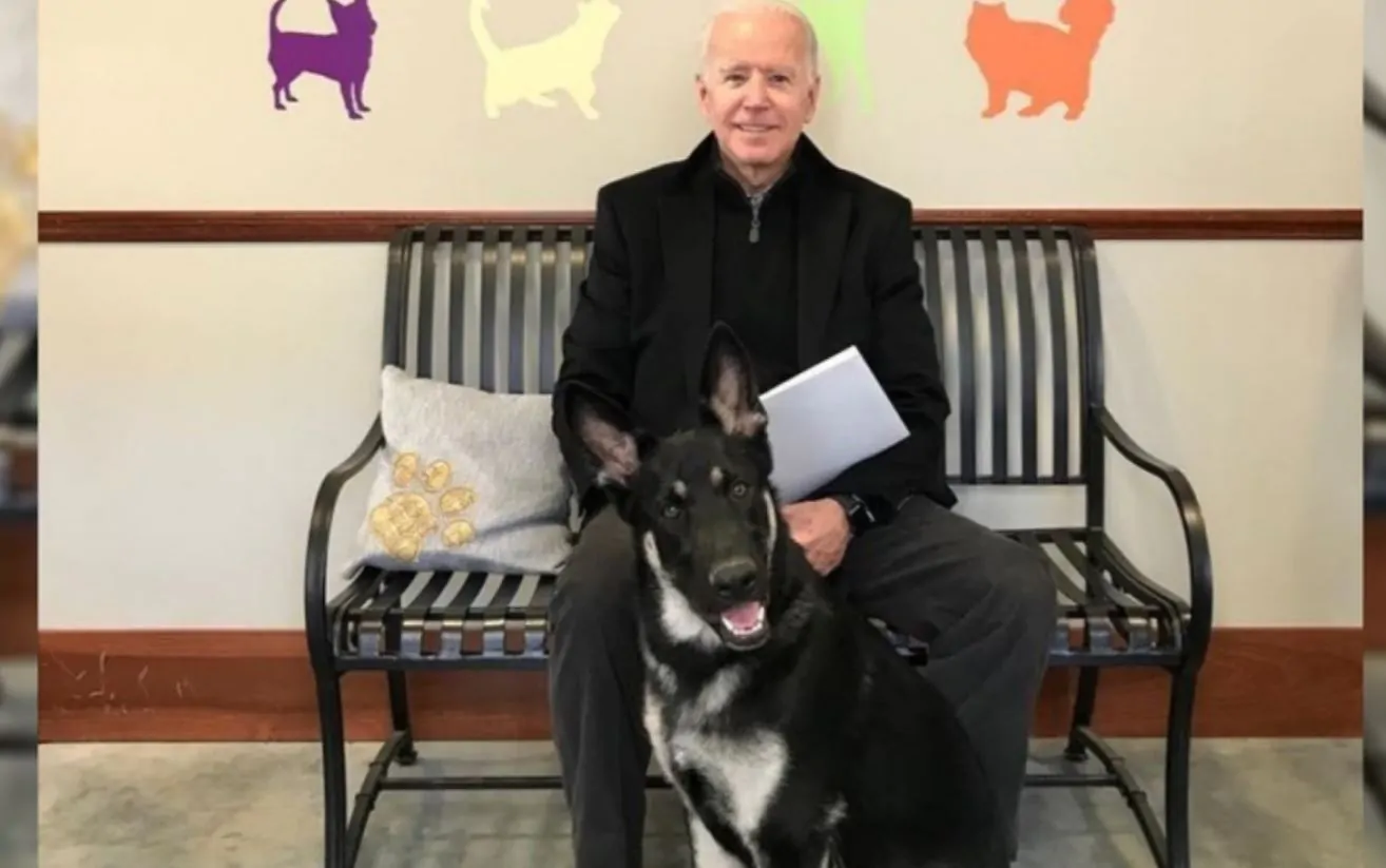 Joe Biden e il cane