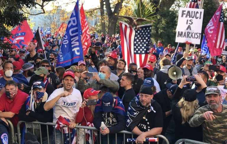manifestazione trump 768x489