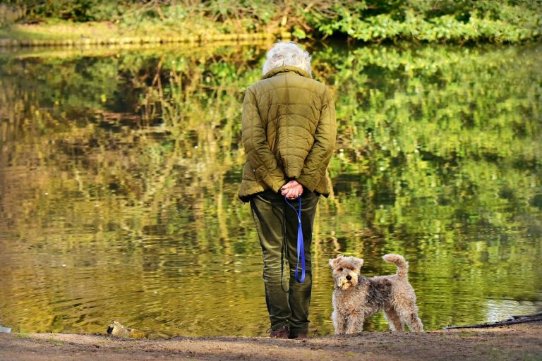 dopo le 22 no passeggiata cane