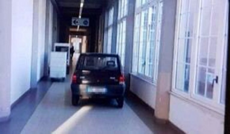 panda corridoi ospedale livorno