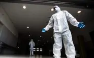 Plateau epidemia cos'è