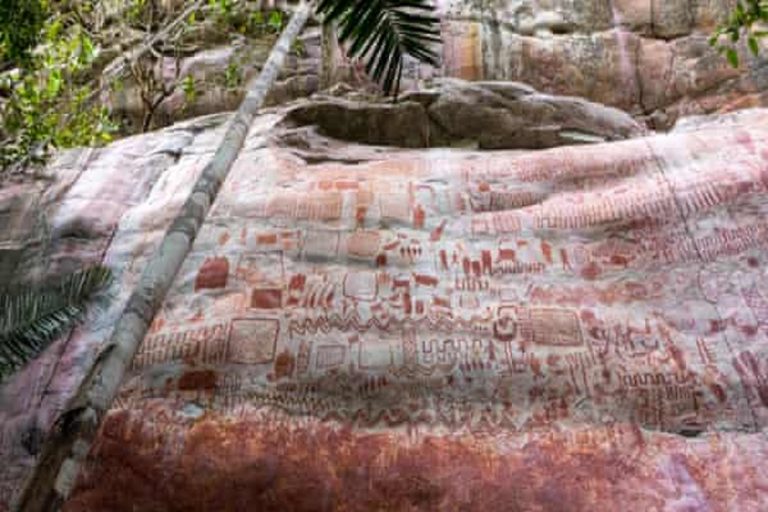 anche l'Amazzonia ha la sua cappella sistina