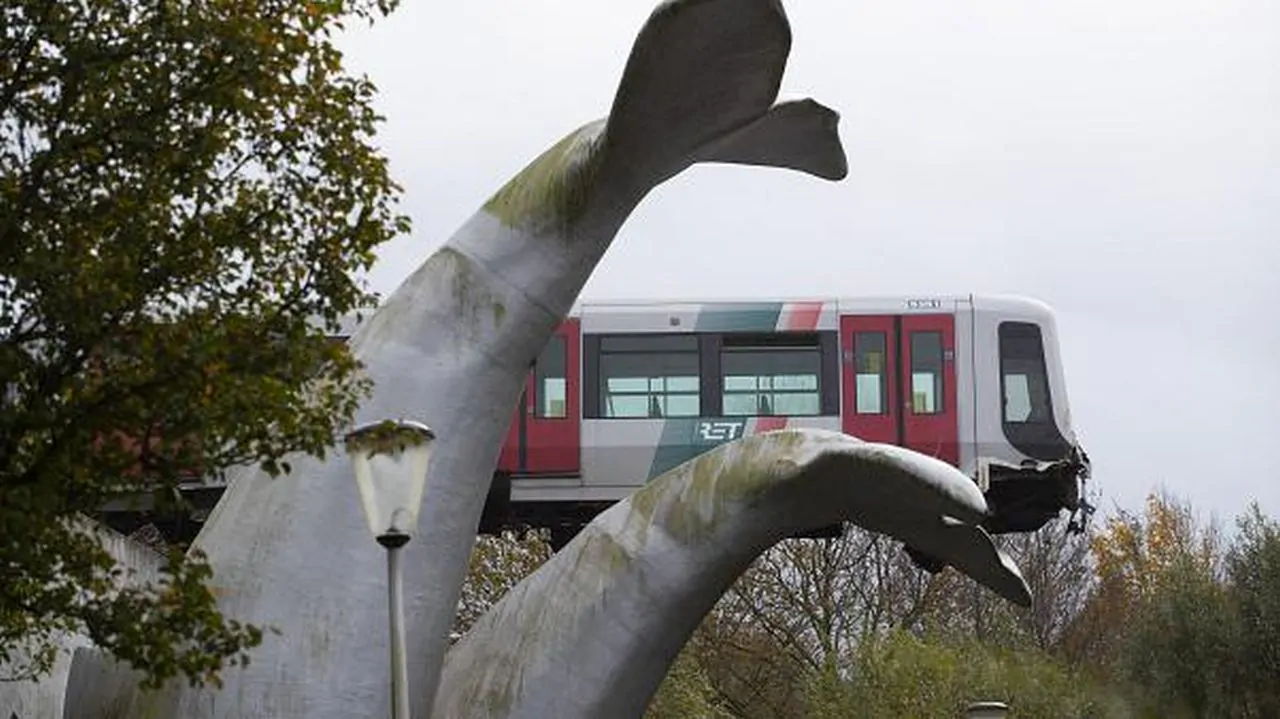 treno olanda coda balena