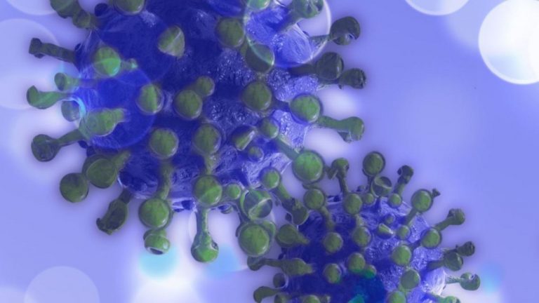 virus bolivia