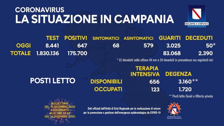 campania 13 768x432