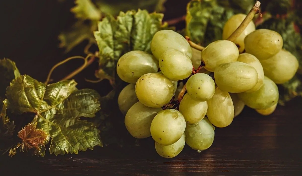 capodanno acini d'uva fortuna