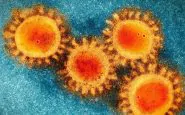 Coronavirus