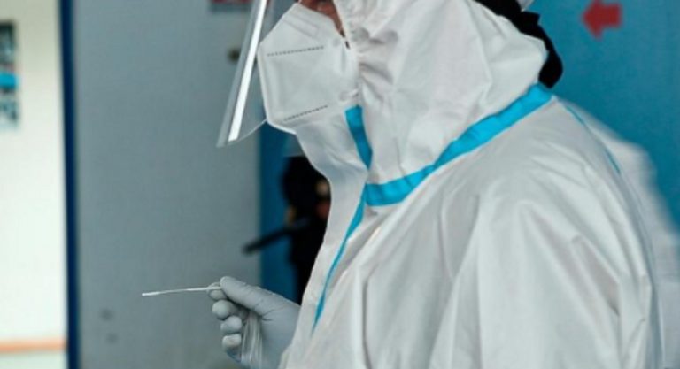 coronavirus variante novembre