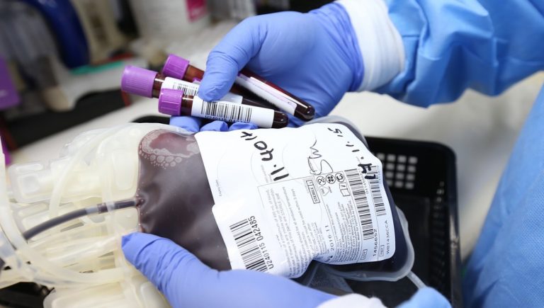 Donare sangue