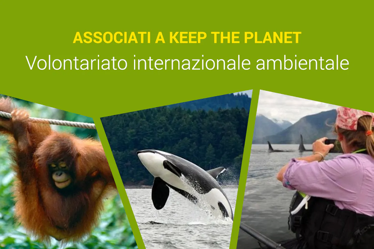 keep the planet aiutare la natura