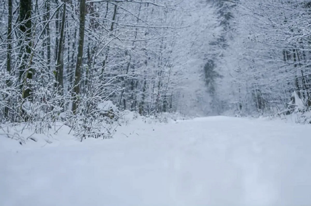 Previsioni meteo: ciclone in atto e nevicate in pianura