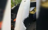 squalo uccide surfista alle hawaii