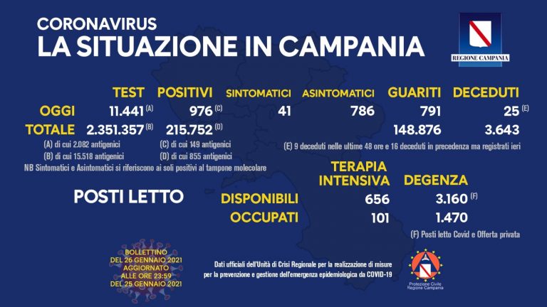 campania 17 768x432