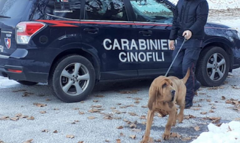 Coniugi scomparsi Bolzano figlio