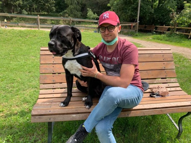 Dissenteria del cane, la storia di Vlad e Diesel