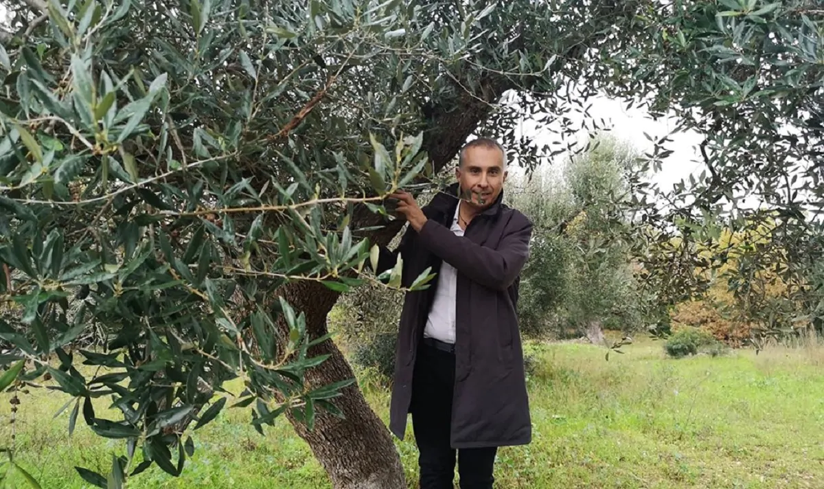 dov'era il senatore lello ciampolillo