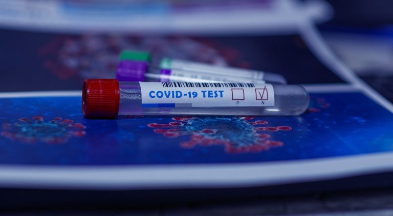 focolaio francia variante coronavirus