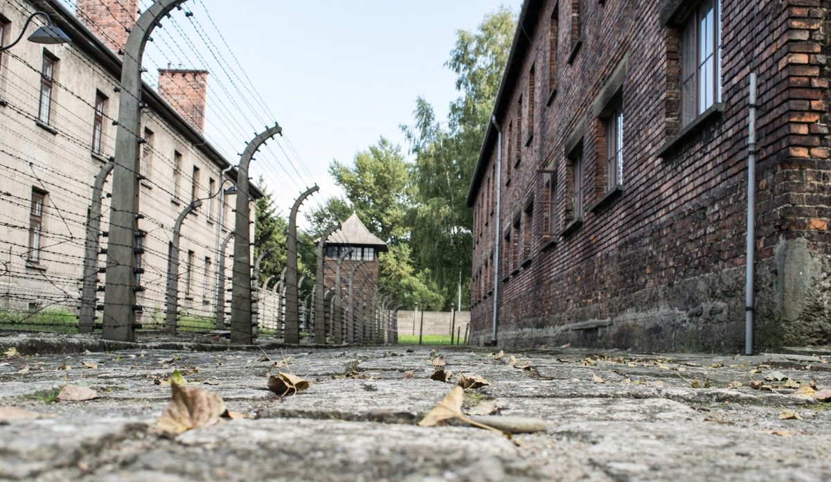 Olocausto: le vittime dimenticate