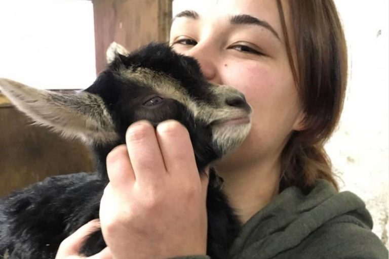 Ragazza si occupa delle capre di Agitu