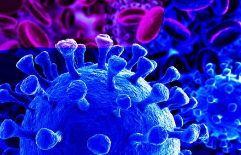 Covid, Spallanzani: due pazienti curati e guariti con monoclonali