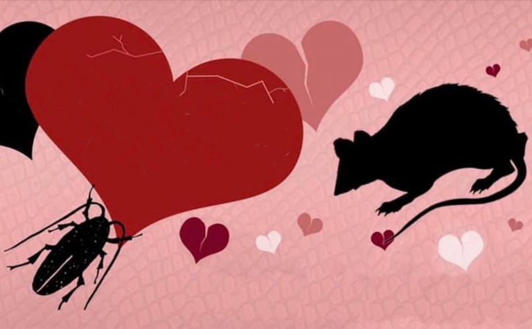 San Valentino