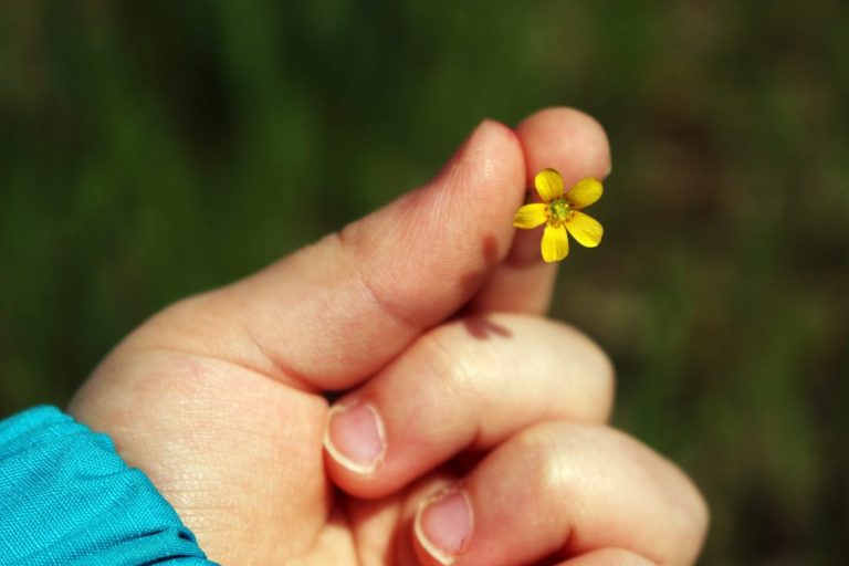 Bambina morta a 9 anni in Texas