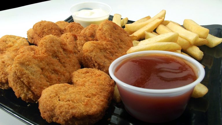 Oil Free Fryer: recensione sulla migliore friggitrice ad aria