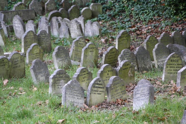 cimitero 768x512