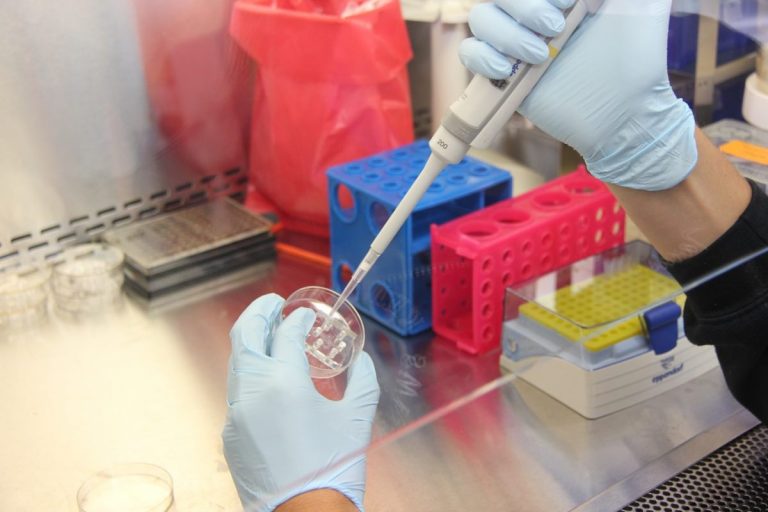 Influenza suina, bambino contagiato negli Stati Uniti