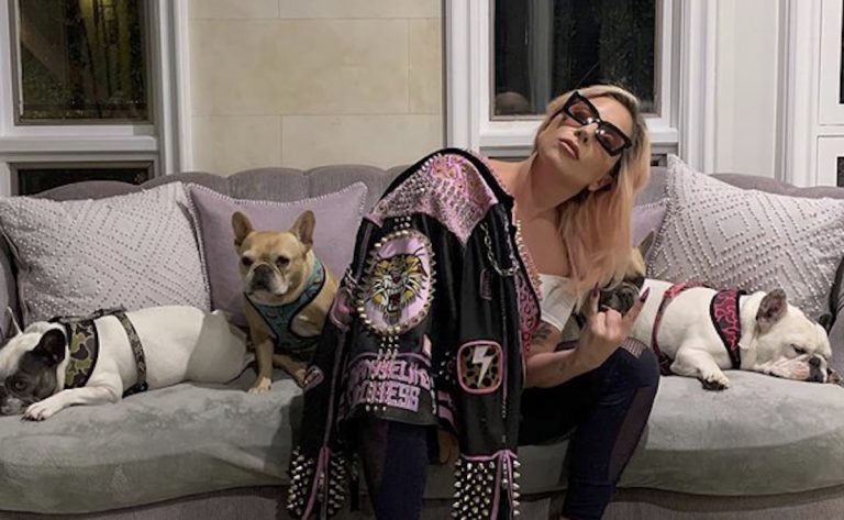Lady Gaga cani rapiti