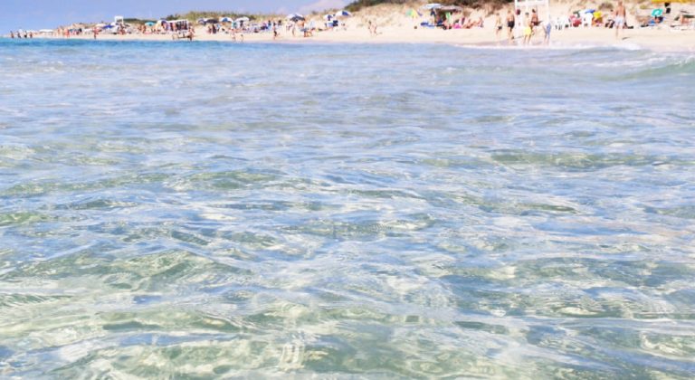 Mare