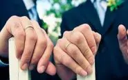Lega scheda coppie gay a Collesalvetti: bufera sull'interpellanza