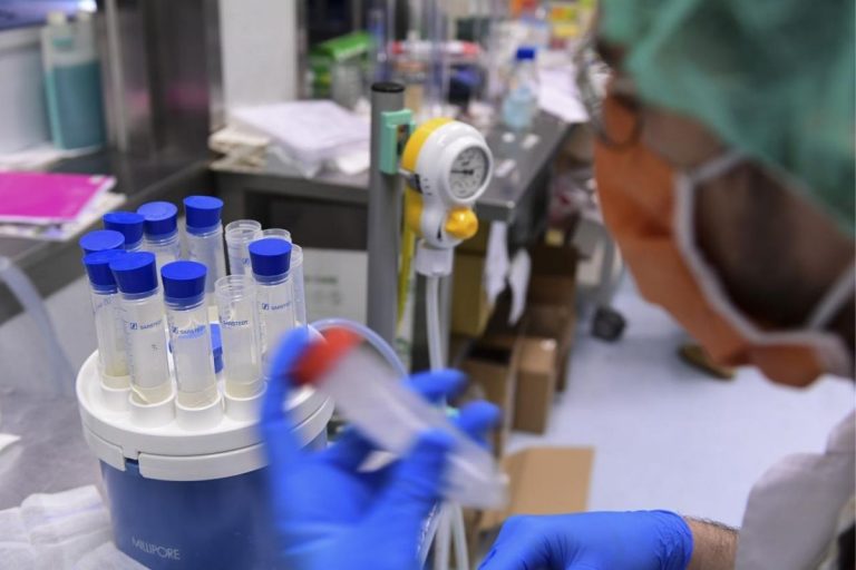 Rottapharm-Takis sperimentazione vaccino