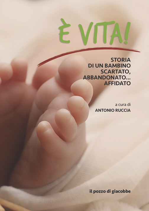vita copertina libro