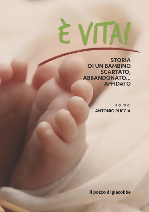 vita copertina libro