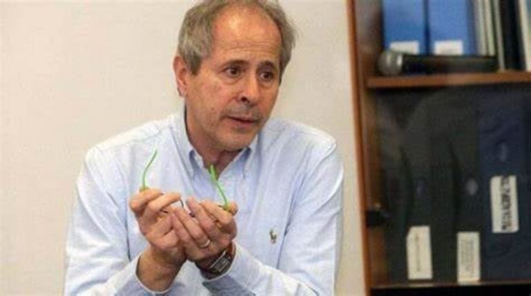 Andrea Crisanti